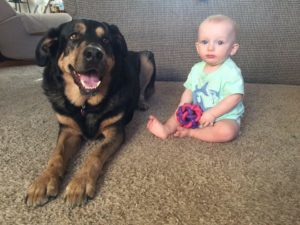 destin 30a mom blog - shaye smith