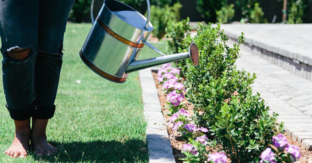 Fall Gardening in Florida