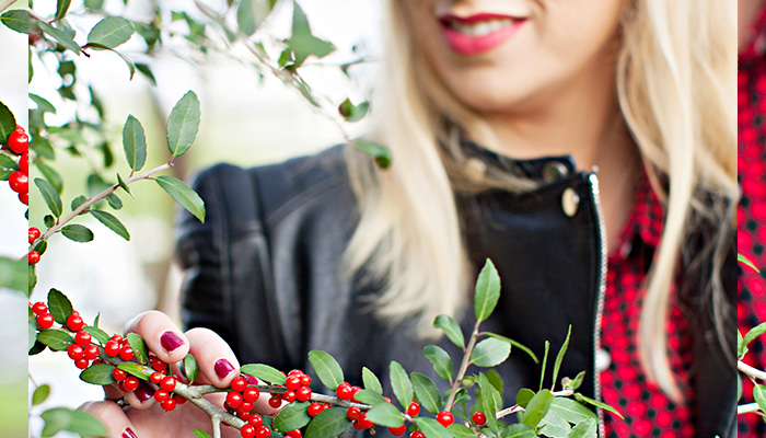 Holly in rosemary
