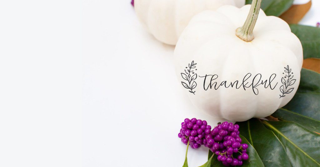 Thankful Pumpkin for Thanksgiving