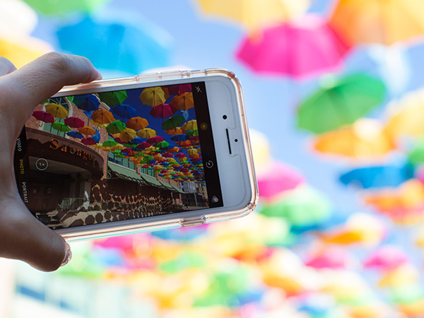 Umbrellas from Portugal in Pensacola