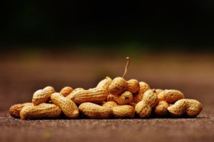 peanut allergy sufferers targets of food bullying