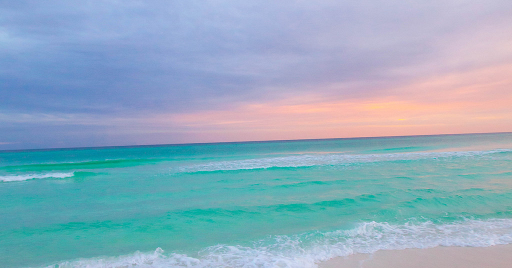 HURRICANE MICHAEL RELIEF// 5 things you can do right now to help Michael relief