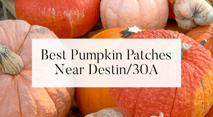 destin 30a pumpkin patches