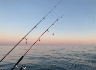 destin fishing rodeo 2021