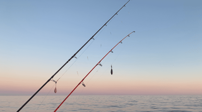 Destin Fishing Rodeo destin fishing rodeo 2021