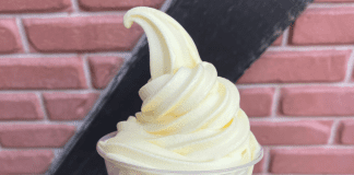 destin 30a moms dairy free snacks disney world