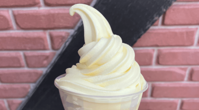 destin 30a moms dairy free snacks disney world
