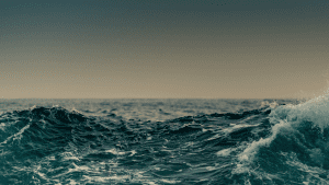 hurricane mental dynamics