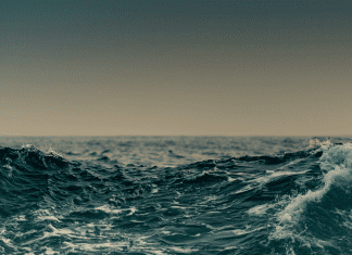 Hurricanes and the Mental Dynamics They Bring hurricane mental dynamics
