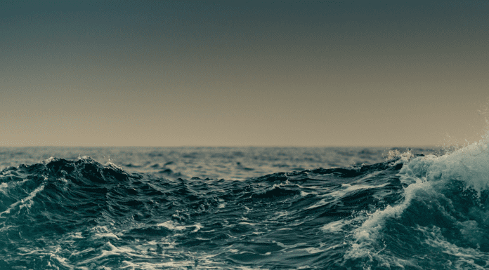 hurricane mental dynamics