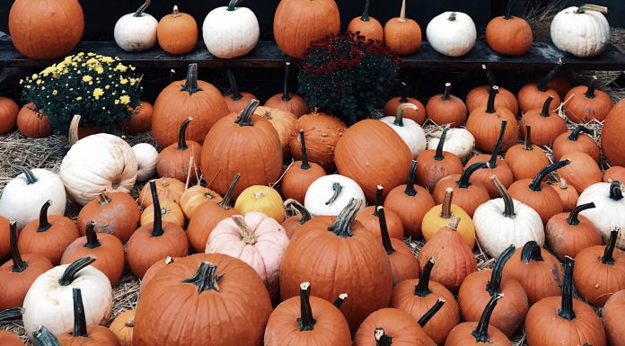 Destin 30A November Events Roundup