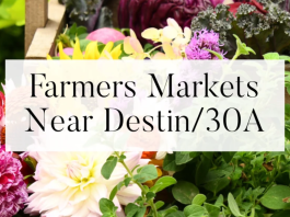 The Ultimate Destin/30A Farmers Market Guide